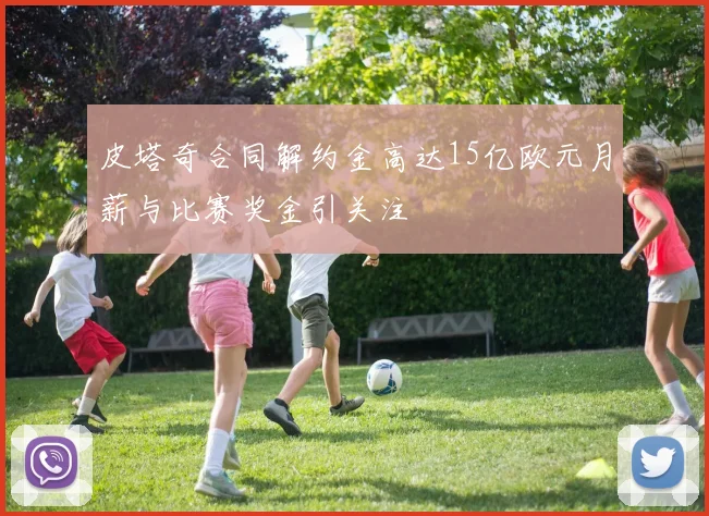 皮塔奇合同解约金高达15亿欧元月薪与比赛奖金引关注