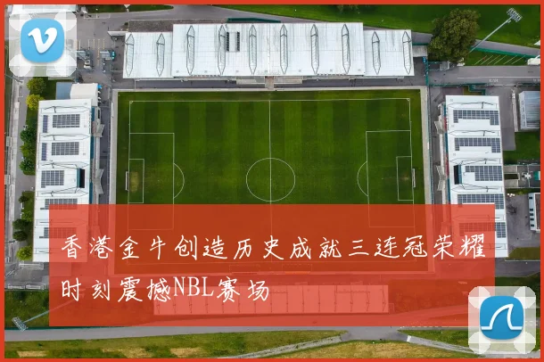 香港金牛创造历史成就三连冠荣耀时刻震撼NBL赛场