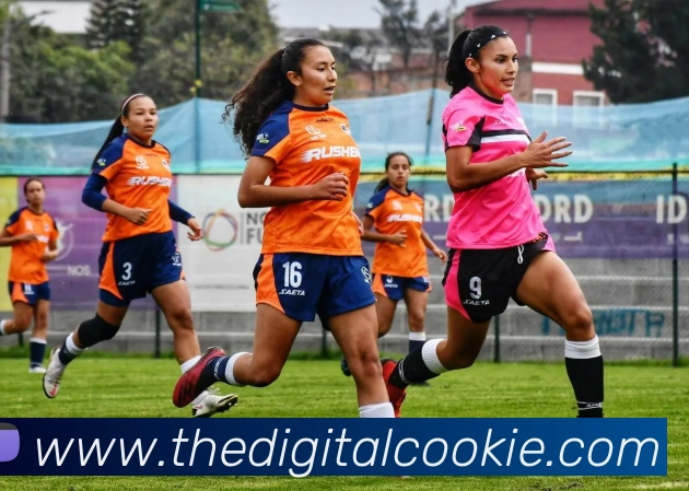 mksports官网APP 封面图